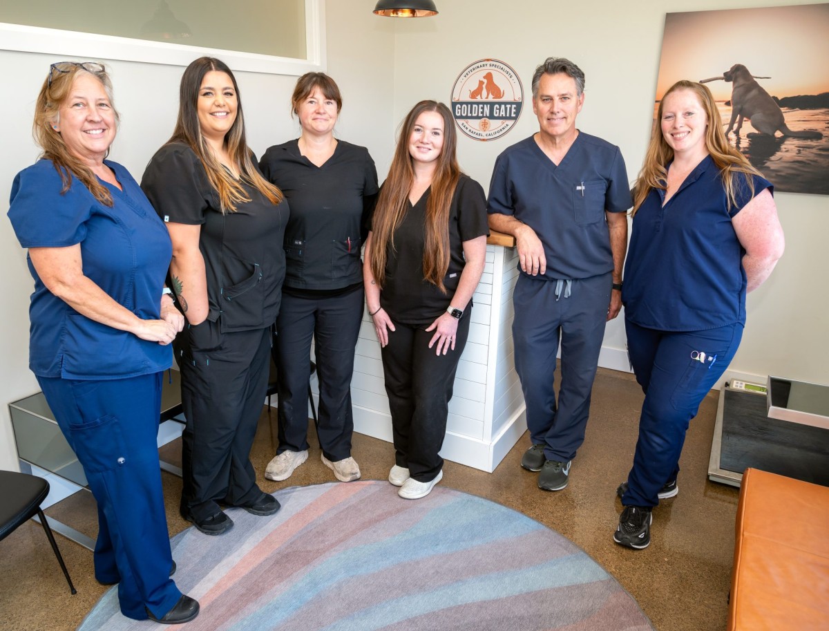 Surgery - Golden Gate Veterinary Specialists