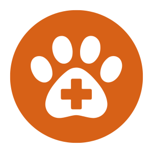 Surgery - Golden Gate Veterinary Specialists Surgery - Golden Gate Veterinary Specialists