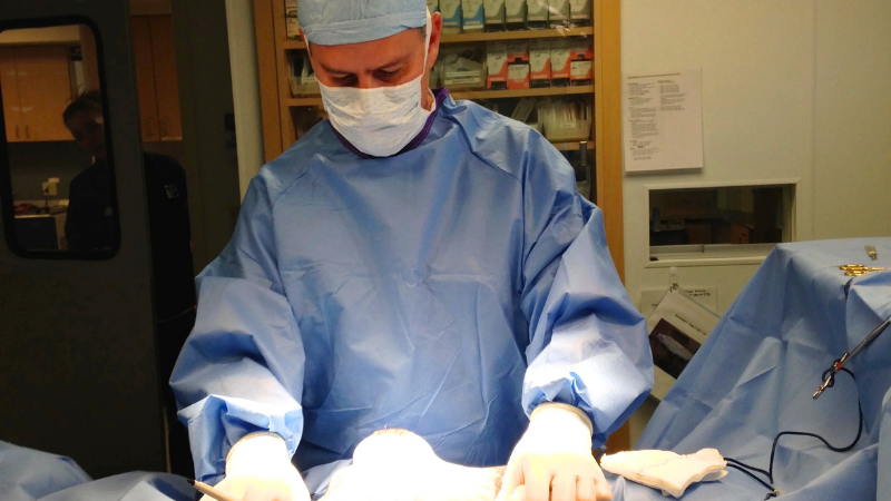 3 Surgery - Golden Gate Veterinary Specialists