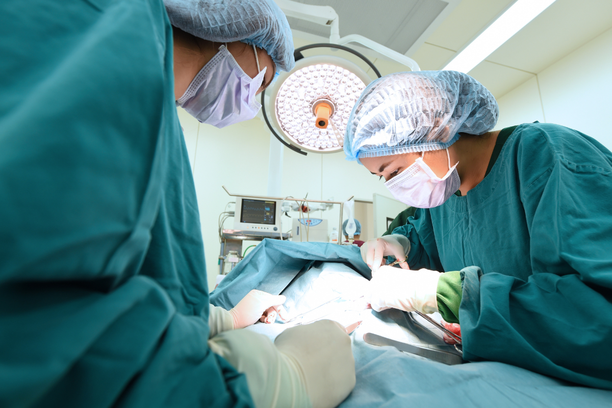 Untitled design (80) Surgery - Golden Gate Veterinary Specialists