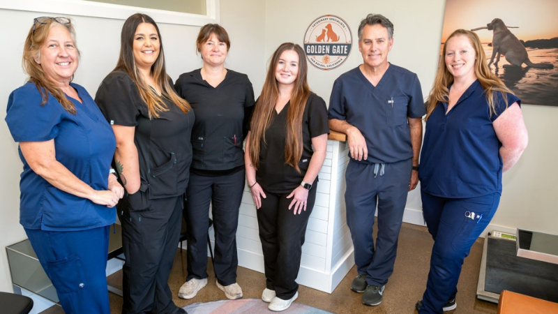 Untitled design (84) Surgery - Golden Gate Veterinary Specialists